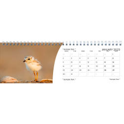 Landscape Desktop Calendar