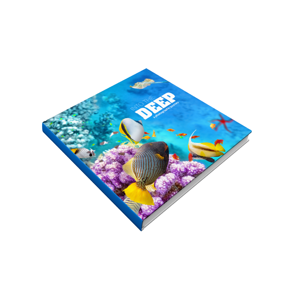 A4 Square Hardback Book Printing