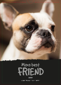 Man's Best Friend