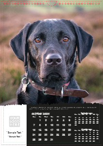 Man's Best Friend