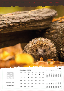 British Wildlife