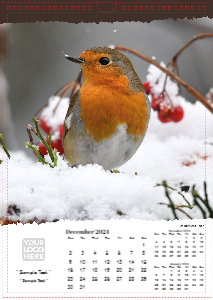 British Wildlife