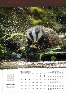 British Wildlife