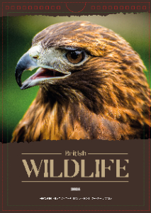 British Wildlife