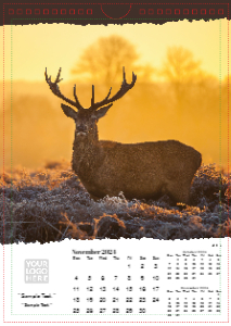 British Wildlife