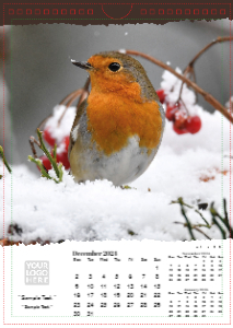 British Wildlife
