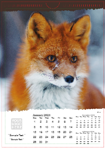 British Wildlife
