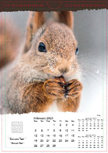 British Wildlife