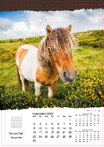 British Wildlife