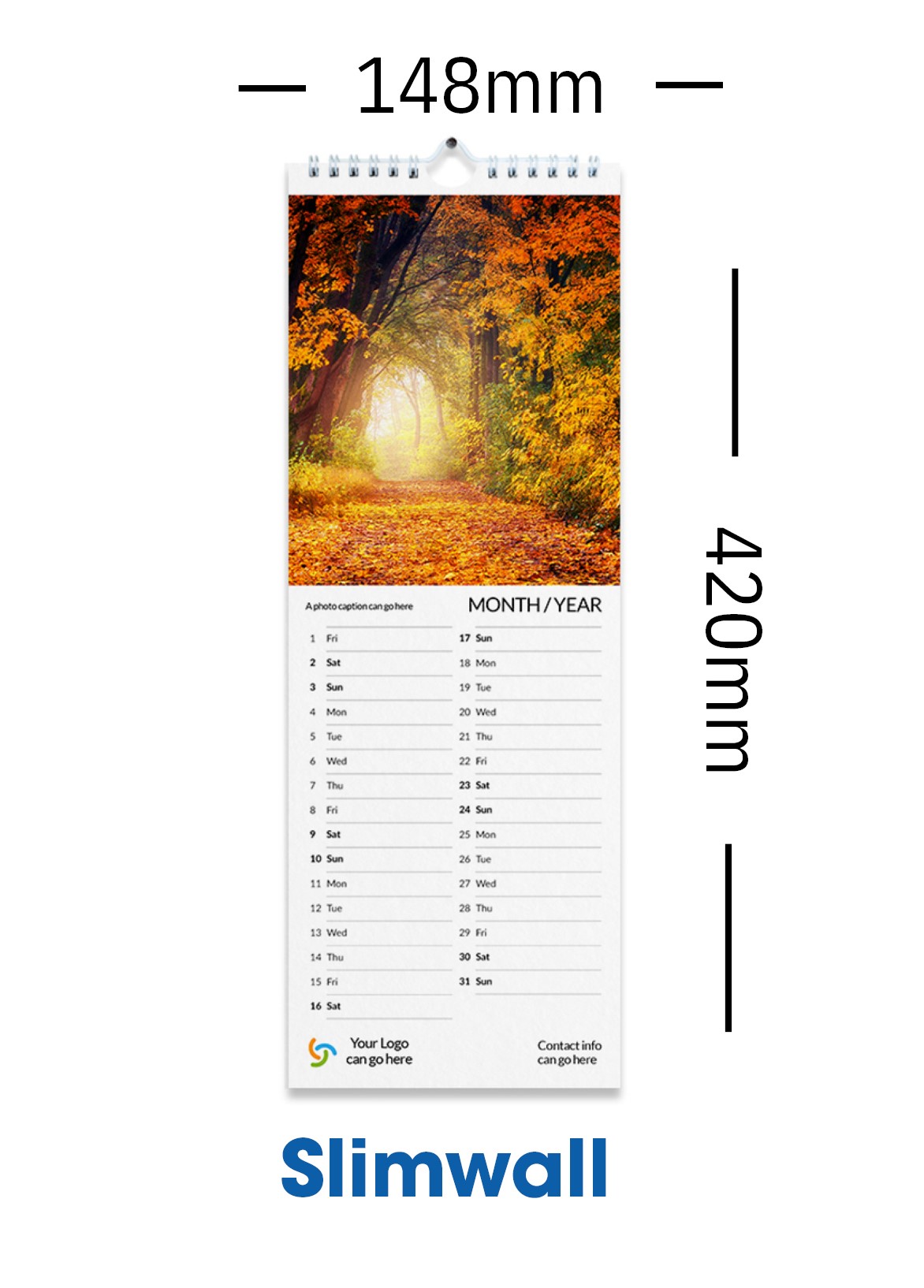 Slim Wall Calendar - 12 months with no covers